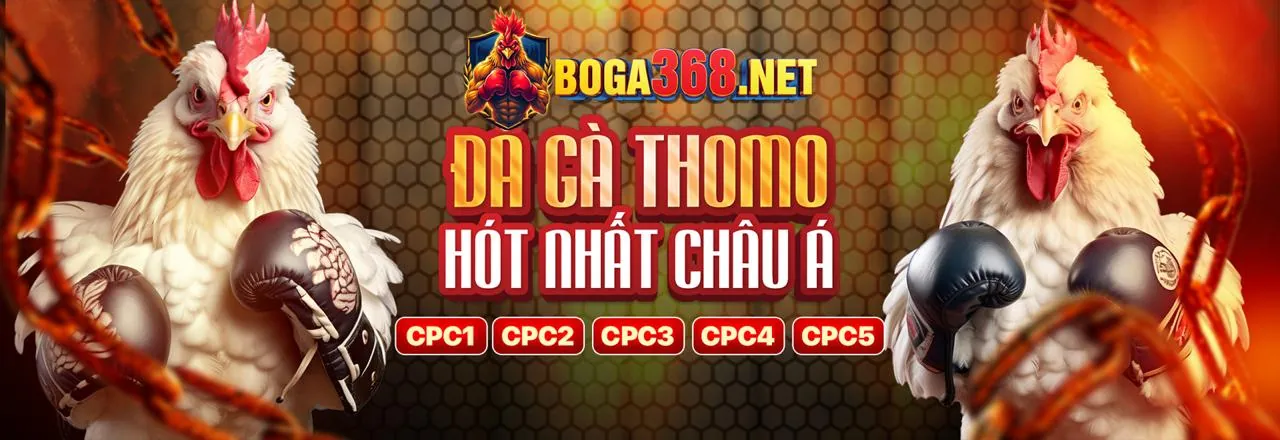 Giao diện nền tảng cá cược thể thao VB9 chuyên nghiệp
